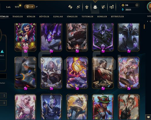 TR | 965 SKİN | UNRANKED
