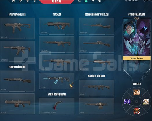 Dia 1 Yağmacı Karambit Gaia Vandal
