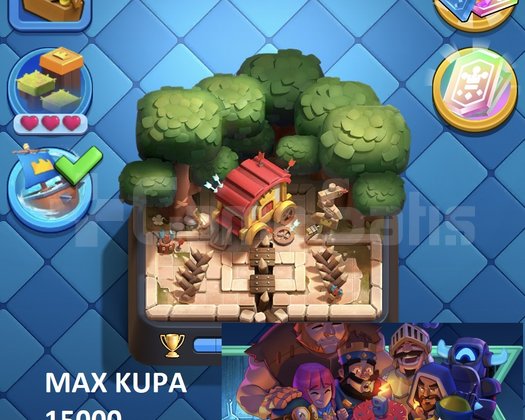 5 Max Kart 8 Evrimli Kart Max 15k Aktif 10624