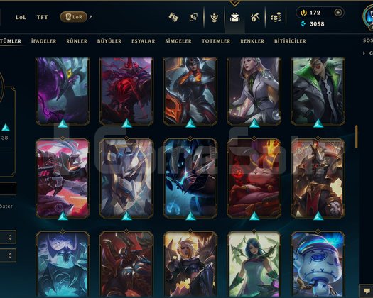 TR / 310 LEVEL / 110 SKİN / FUL HERO +MAİL