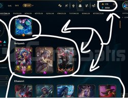 TR / 310 LEVEL / 110 SKİN / FUL HERO +MAİL