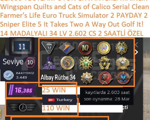 14 MADALYALI 34 LV 2602 CS 2 SAATLİ Sniper Elite 5