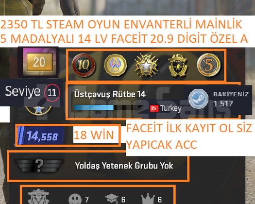 5 MADALYALI 14 LV FACEİT 20.9 DİGİT 2350 TL STEAM
