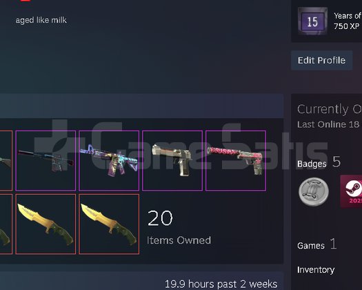 2300 Elo Faceit 10 Lvl 15 Yıllık Tertemiz Hesap