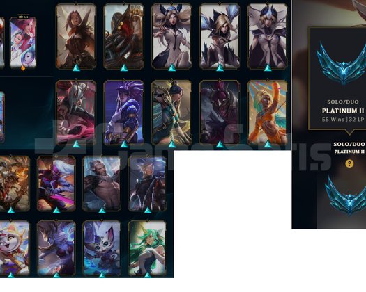 49 wr plat 2 eu west bol skinli hesap