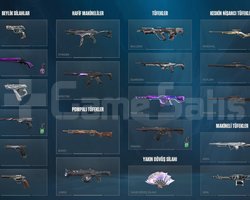 hesap dolu şuan gold 2 bol bol skin bulunmakta