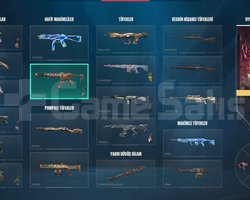 PLAT 2 HESAP HİGH MMR BOL SKİNLİ