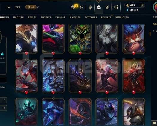 TR / 311 LEVEL / 267 SKİN / 161 HERO +MAİL