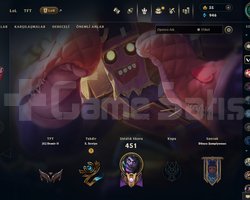 EUW 286 LEVEL MAİLLİ 60 SKİNLİ FRESH HANDMADE!!!