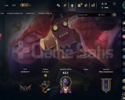 EUW 286 LEVEL MAİLLİ 60 SKİNLİ FRESH HANDMADE!!!
