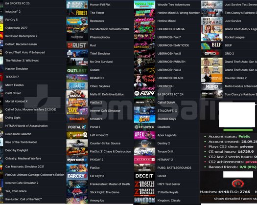 2 AD ARCANA GTA V PUBG PLUS RUST RED DEAD 2 EA SPO