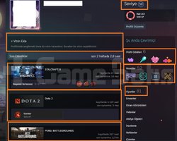 2 AD ARCANA GTA V PUBG PLUS RUST RED DEAD 2 EA SPO