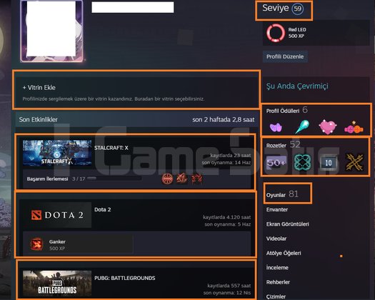 2 AD ARCANA GTA V PUBG PLUS RUST RED DEAD 2 EA SPO
