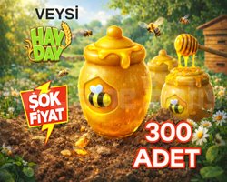 KAMPANYA 300 bal