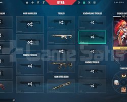 Champions 25 Set Valorant Hesabı