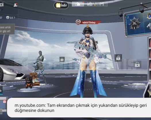 9max silah 73 koleksiyon