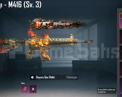 M4 4 seviye kelepir hesap