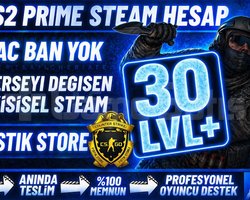 ANINDA / HERŞEYİ DEĞİŞEN + 30+ SEVİYE + PRIME CS2