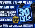 ANINDA / HERŞEYİ DEĞİŞEN + 30+ SEVİYE + PRIME CS2