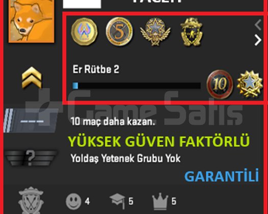 ANINDA TESLİM | 6 MADALYA | 367 SAAT | FACEIT