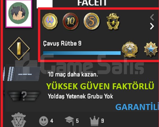 ANINDA TESLİM | 7 MADALYA | 740 SAAT | FACEIT