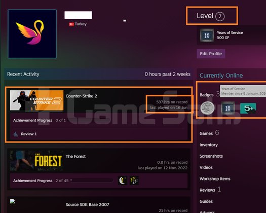 FACEİT+ 6 MADALYA 162 WİN 537 SAAT SEÇKİN