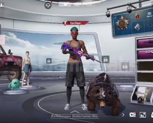 MASKARA HESAP= NADİR ÖĞELER