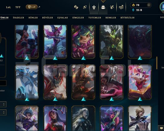 TR | 200 LEVEL | 85 KOSTÜM | 163 HERO | TEL+MAİL!