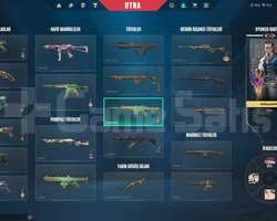 PLAT 3 VALORANT BOL SKİNLİ HESAP