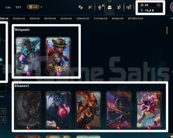 EUW | 204 LEVEL | 158 KOSTÜM | 172 HERO | MAİLLİ!