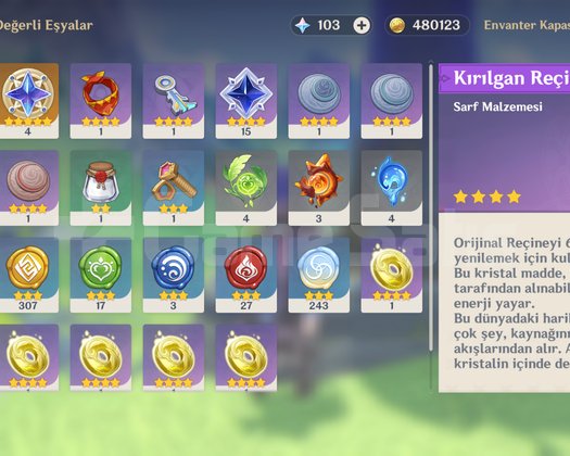 EU | AR 33 | KEQING + C1 ÖZEL KARAKTER PRUNE