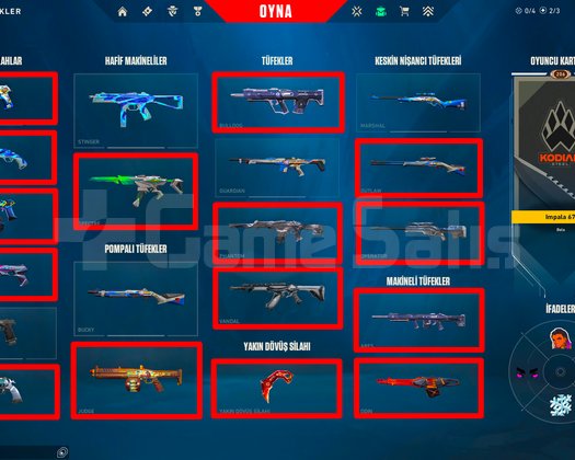 206 SEVİYE + VCT KARAMBİT + 8 BIÇAK + 8 VANDAL!