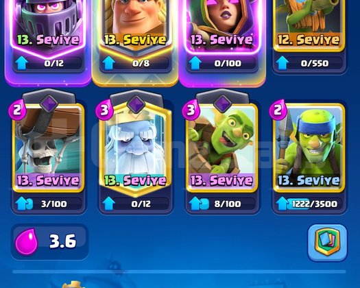 7.3K KUPA 6 EVRİM 3 YILLIK CR