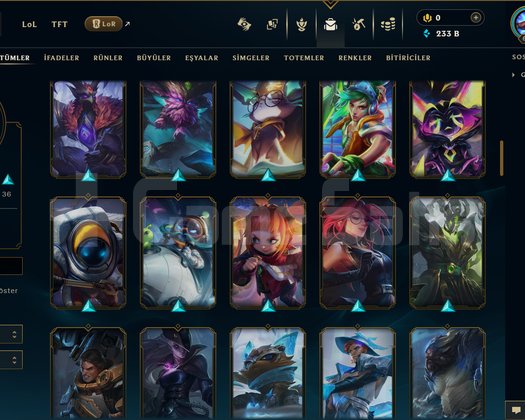 617 LEVEL / 94 SKİN / FUL HERO +MAİL +15K SATIŞ