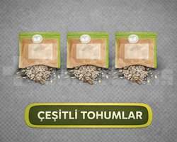 TESLİM GARANTİLİ | x1000 TOHUM/SEEDS