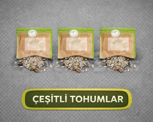 TESLİM GARANTİLİ | x1000 TOHUM/SEEDS