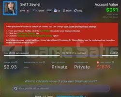 STEAM HESAP ACİL SATILIK