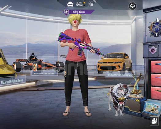 Pubg satılık efsane hesapp