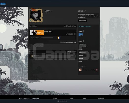 ILK MAIL + CS SEÇKİN + 4,74 SKIN ARKA PLANLI TR