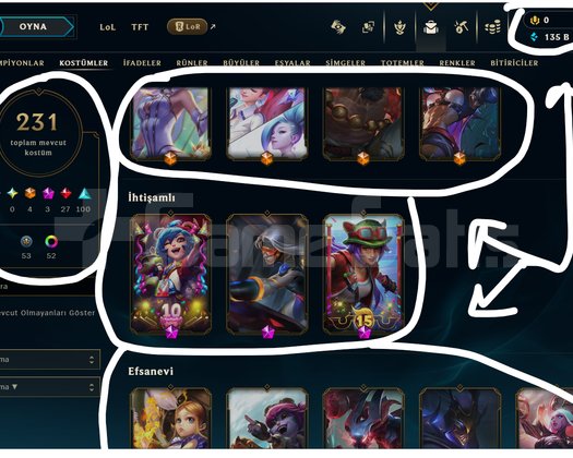 467 LEVEL / 231 SKİN / FUL HERO +MAİL +TELEFON