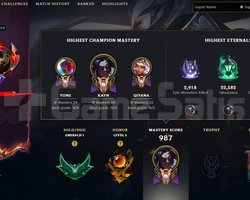1M KAYN MASTERDAN ERİME ZUMRUT 1 HESAP