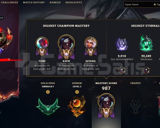 1M KAYN MASTERDAN ERİME ZUMRUT 1 HESAP