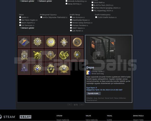 FACEİT 2200 ELO 50 LEVEL 11 YILLIK STEAM HESABIM