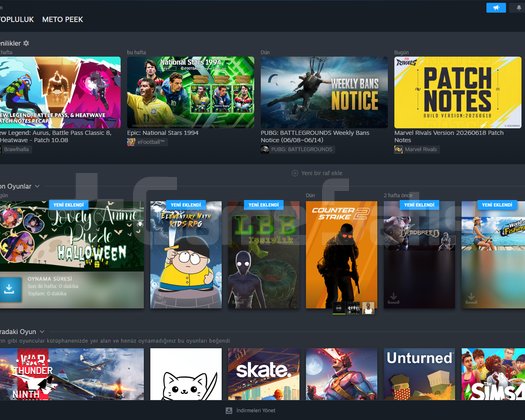 HERŞEYİ DEĞİŞEN STEAM HESABI DOLU DOLU!