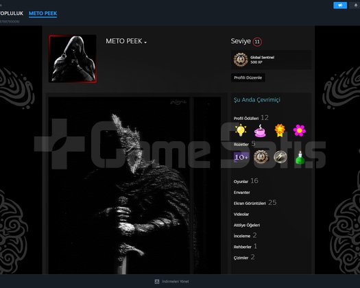 HERŞEYİ DEĞİŞEN STEAM HESABI DOLU DOLU!