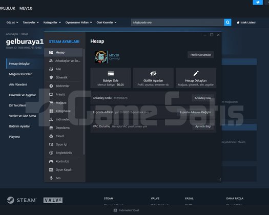 CS2 | SEÇKİN AKTİF | VAC BANSIZ | FULL ERİŞİM
