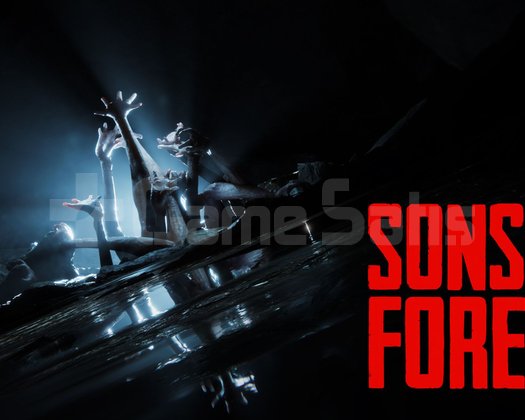 Sons Of The Forest + Garanti