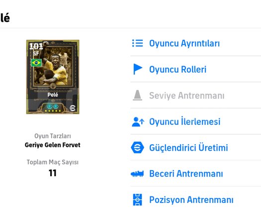 107 Pel Hesabı | 3174 Takım Gücü | Tek bağ