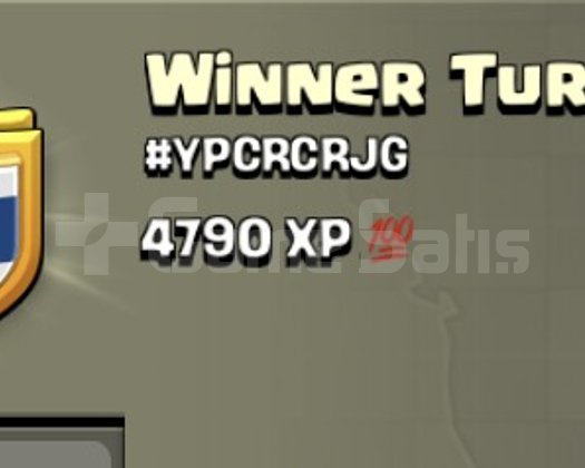 10 SEVİYE EFSANE İSİMLİ KLAN WINNER TURTKUL