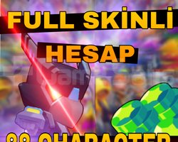 230 SKİN 88 KARAKTER FIRSAT HESABI